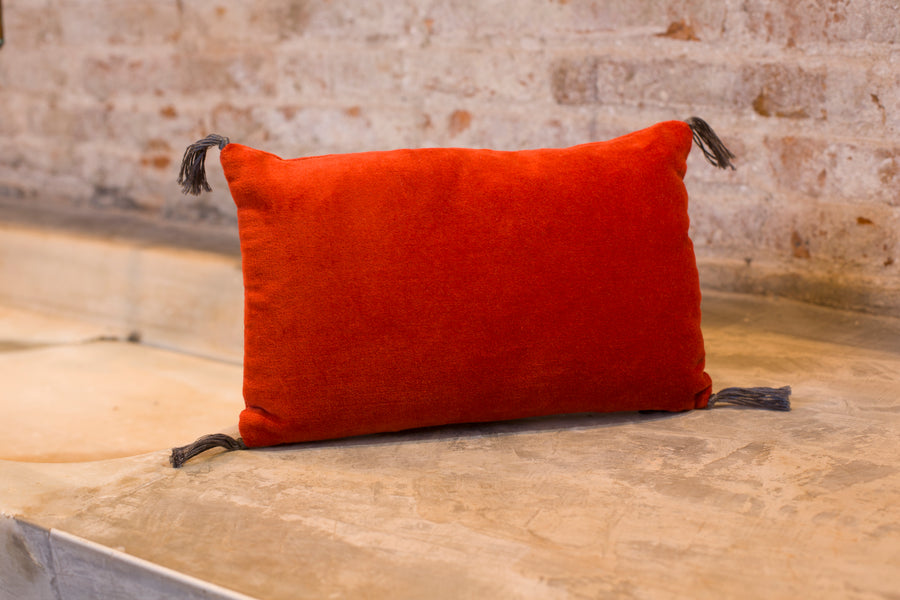 COUSSIN KUMASI - VELOURS LAVE - Autumn Glaze